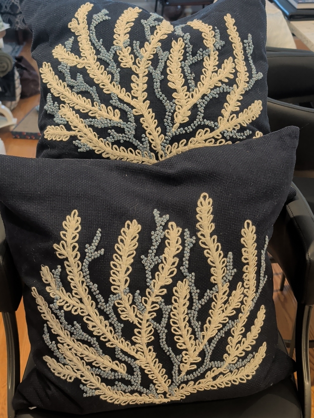 Pottery Barn Pillow Pair
